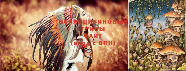 таблы Алзамай