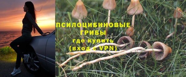 спайс Алексеевка