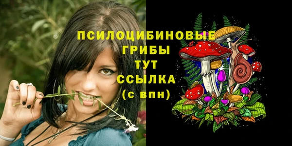 таблы Алзамай