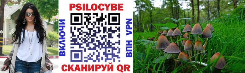 Псилоцибиновые грибы Psilocybine cubensis  где найти   Чадан 